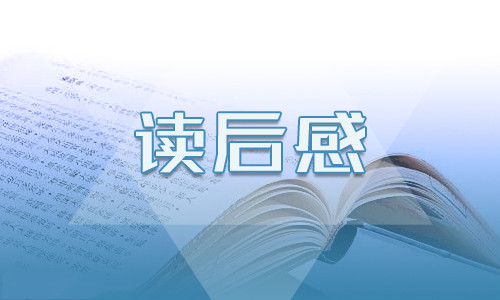 红楼梦读后感300字