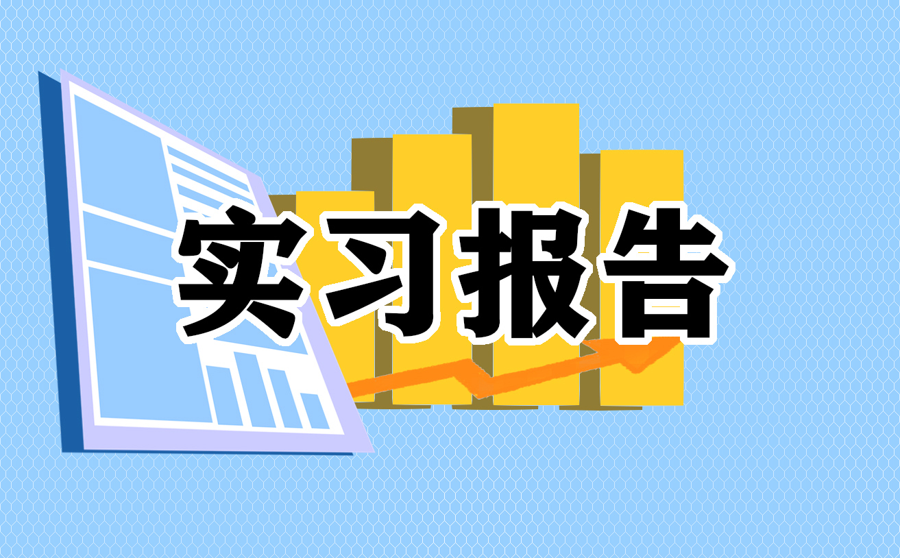 毕业生软件公司实习报告