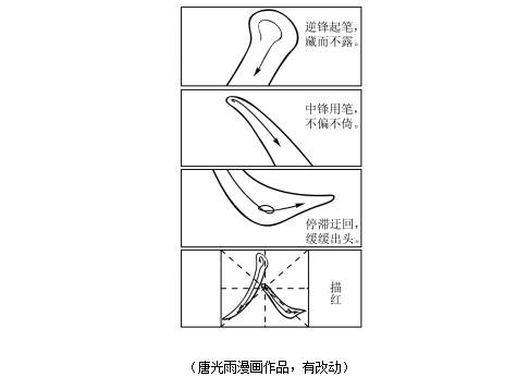 全国新高考Ⅱ卷