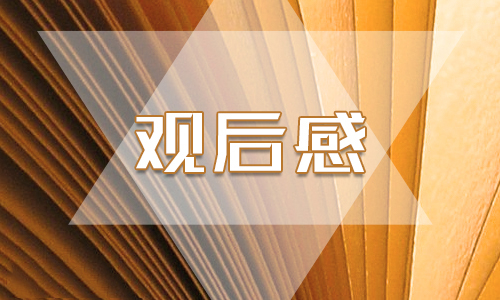 大学生看2020国家安全教育公开课观后感精选5篇